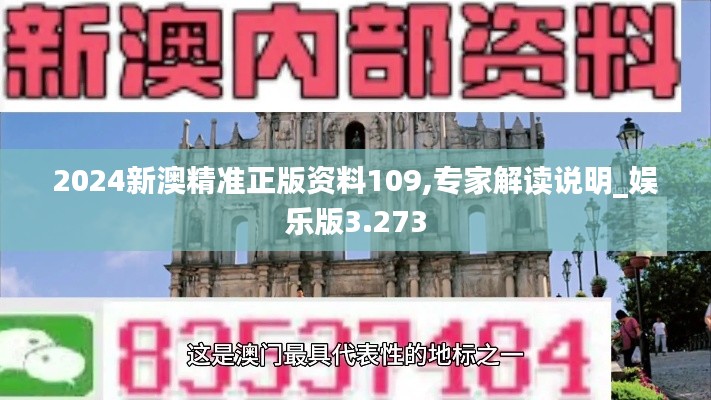2024新澳精准正版资料109,专家解读说明_娱乐版3.273