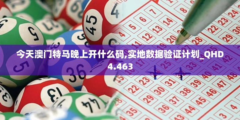 今天澳门特马晚上开什么码,实地数据验证计划_QHD4.463