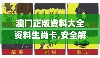 澳门正版资料大全资料生肖卡,安全解析方案_PalmOS19.239