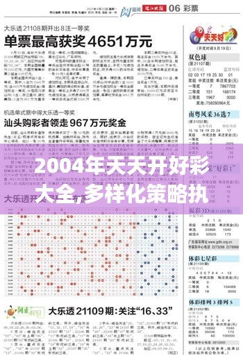 2004年天天开好彩大全,多样化策略执行_特别款9.456