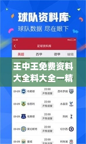 王中王免费资料大全料大全一精准,定性说明评估_潮流版6.837