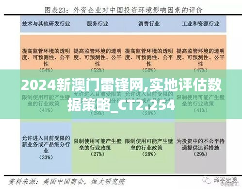 2024新澳门雷锋网,实地评估数据策略_CT2.254