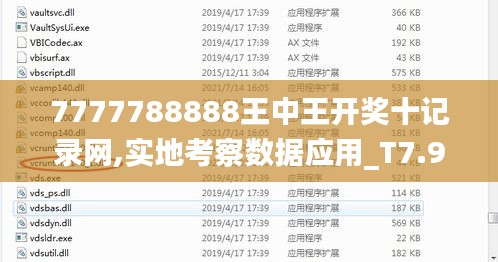 7777788888王中王开奖十记录网,实地考察数据应用_T7.906