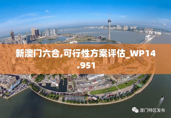 新澳门六合,可行性方案评估_WP14.951