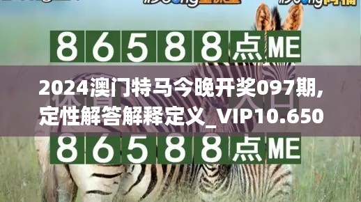 2024澳门特马今晚开奖097期,定性解答解释定义_VIP10.650