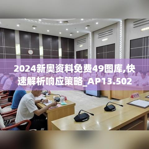 2024新奥资料免费49图库,快速解析响应策略_AP13.502