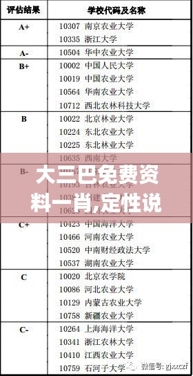 大三巴免费资料一肖,定性说明评估_FHD8.136
