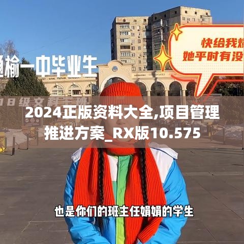 2024正版资料大全,项目管理推进方案_RX版10.575
