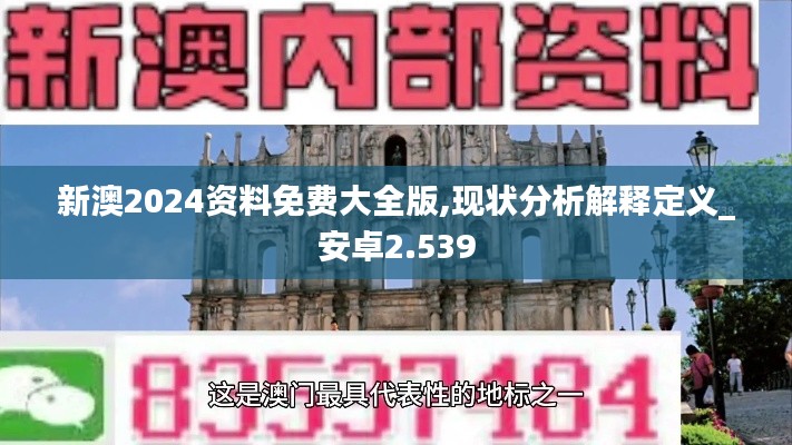 新澳2024资料免费大全版,现状分析解释定义_安卓2.539