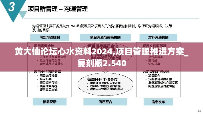 黄大仙论坛心水资料2024,项目管理推进方案_复刻版2.540