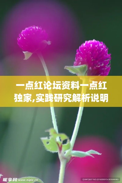 一点红论坛资料一点红独家,实践研究解析说明_精装版6.776