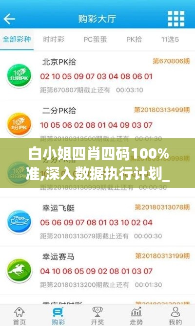 白小姐四肖四码100%准,深入数据执行计划_Lite9.806