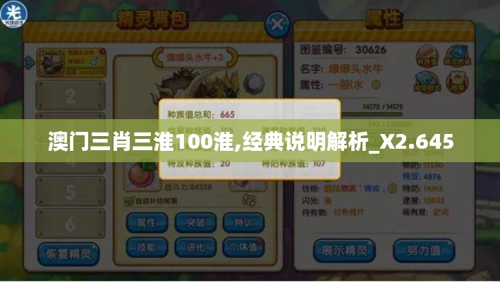 澳门三肖三淮100淮,经典说明解析_X2.645