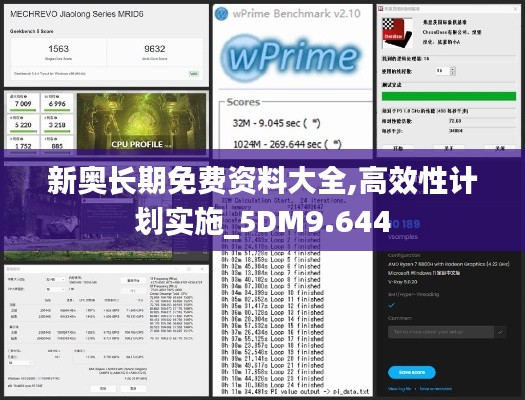 新奥长期免费资料大全,高效性计划实施_5DM9.644