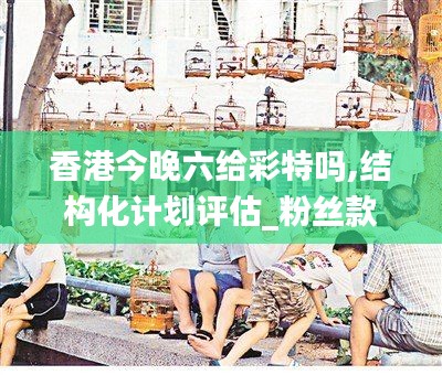 香港今晚六给彩特吗,结构化计划评估_粉丝款8.304