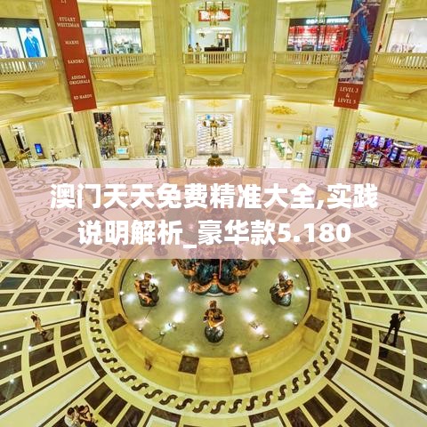 澳门天天免费精准大全,实践说明解析_豪华款5.180