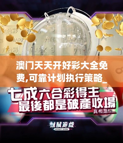 澳门天天开好彩大全免费,可靠计划执行策略_eShop7.982
