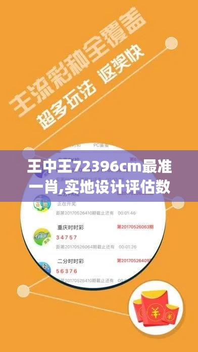 王中王72396cm最准一肖,实地设计评估数据_试用版10.833