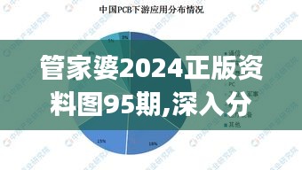 管家婆2024正版资料图95期,深入分析数据应用_VR1.553