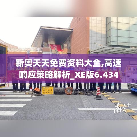 新奥天天免费资料大全,高速响应策略解析_XE版6.434