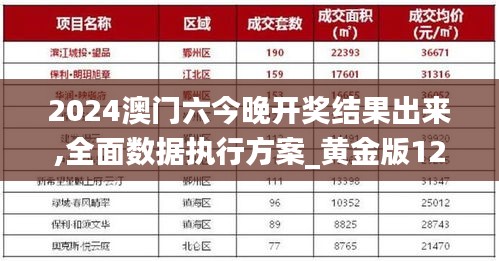 2024澳门六今晚开奖结果出来,全面数据执行方案_黄金版12.882