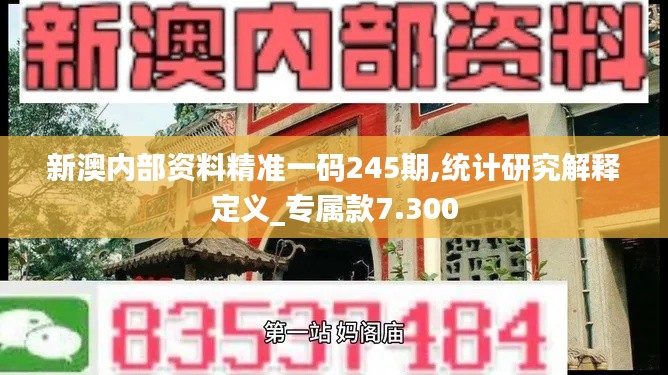 新澳内部资料精准一码245期,统计研究解释定义_专属款7.300
