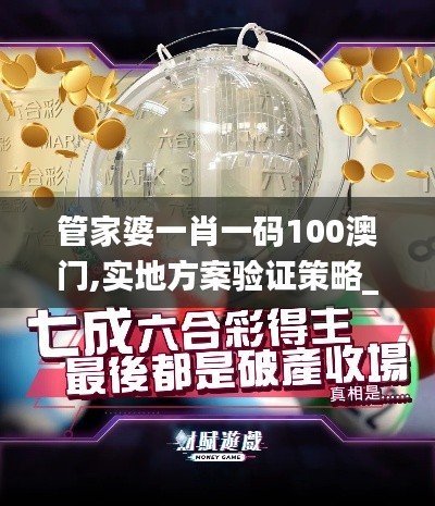管家婆一肖一码100澳门,实地方案验证策略_tShop10.497