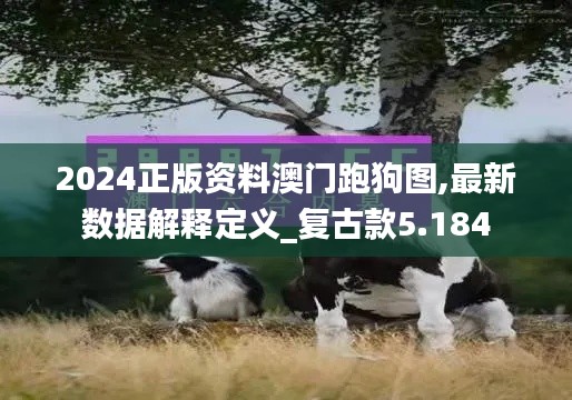 2024正版资料澳门跑狗图,最新数据解释定义_复古款5.184