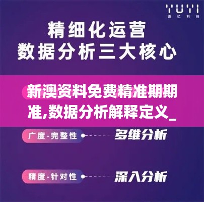 新澳资料免费精准期期准,数据分析解释定义_特供版10.153