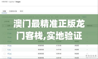 澳门最精准正版龙门客栈,实地验证数据分析_超级版1.134