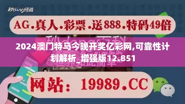 2024澳门特马今晚开奖亿彩网,可靠性计划解析_增强版12.851