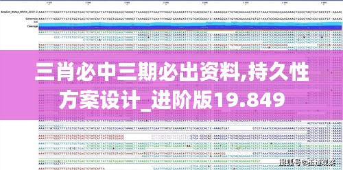 三肖必中三期必出资料,持久性方案设计_进阶版19.849