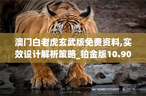 澳门白老虎玄武版免费资料,实效设计解析策略_铂金版10.908