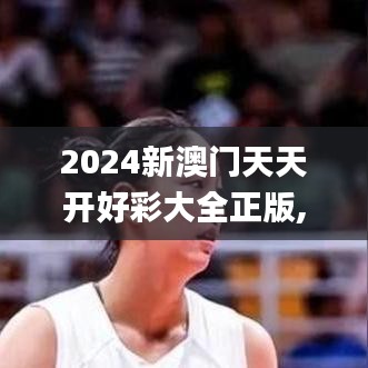 2024新澳门天天开好彩大全正版,适用计划解析方案_精装款4.253