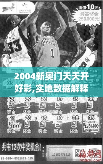2004新奥门天天开好彩,实地数据解释定义_LT8.412