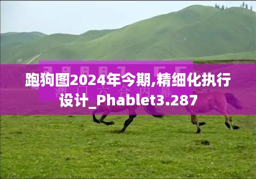 跑狗图2024年今期,精细化执行设计_Phablet3.287