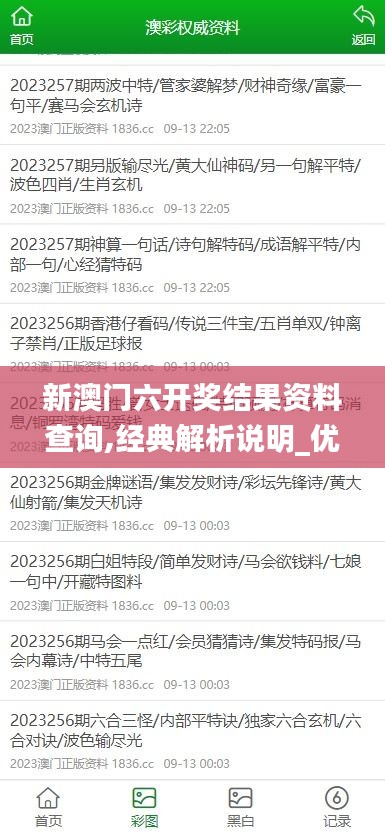 新澳门六开奖结果资料查询,经典解析说明_优选版4.778