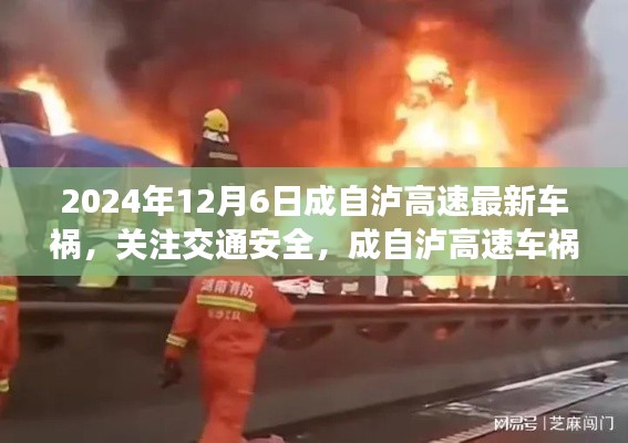 成自泸高速车祸事件深度解析，关注交通安全（最新报道）