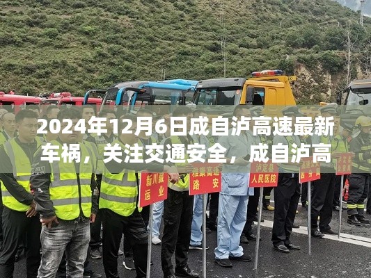 成自泸高速车祸事件深度解析,关注交通安全(最新报道)