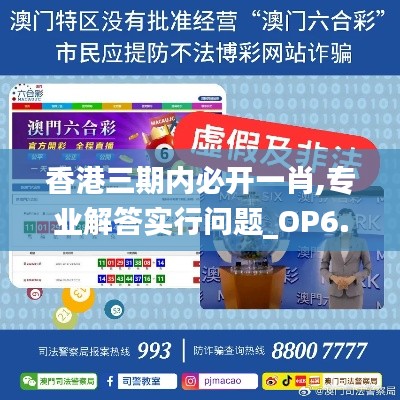 香港三期内必开一肖,专业解答实行问题_OP6.477