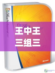 王中王三组三中三,深入数据应用计划_YE版5.113