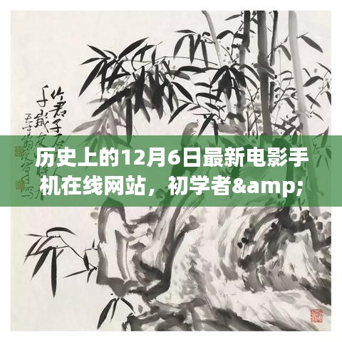 历史上的12月6日最新电影手机在线网站,初学者与进阶用户的使用指南