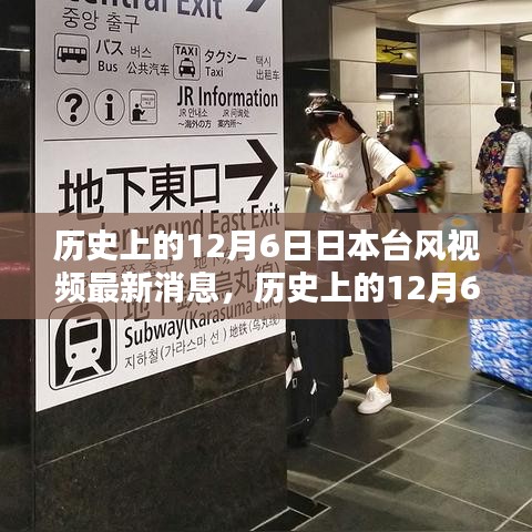 历史上的12月6日日本台风视频最新动态，深度分析与观点阐述