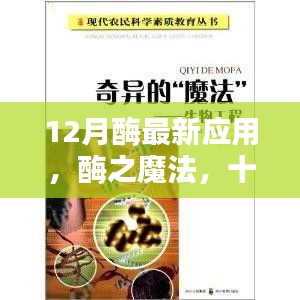 十二月酶之魔法，温馨日常与奇妙友谊的新应用探索