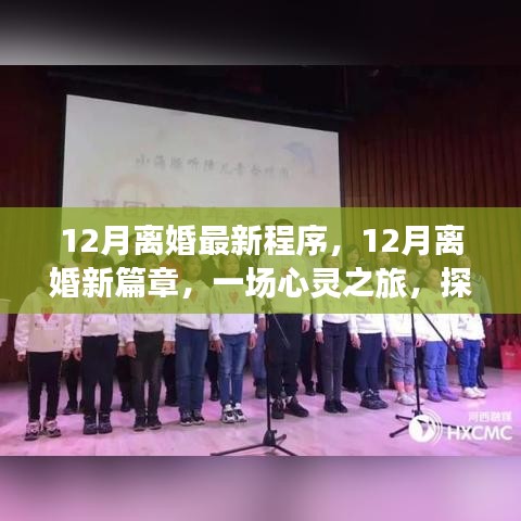 12月离婚新程序，心灵之旅，探寻美景，重塑内心宁静