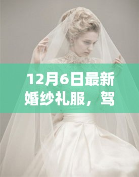 12月6日最新婚纱礼服,驾驭时尚,婚纱礼服变迁中的励志故事,如何用学习重塑自信与成就