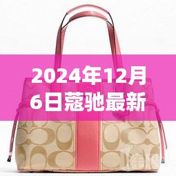 最新指南，如何轻松购买蔻驰水桶包，2024年12月6日新品解读
