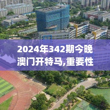 2024年342期今晚澳门开特马,重要性解释落实方法_特别款5.734
