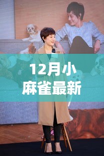 冬日的温馨使者，12月小麻雀最新动态与季节美好感受