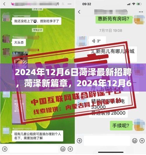 菏泽人才盛宴，最新招聘与机遇，开启新篇章（2024年12月6日）